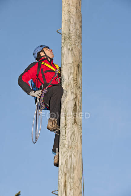 Man ascending wooden pole at high rope training exercise — Stock Photo