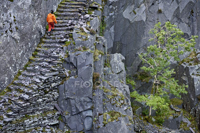 Woman hiking up stairs at Slate quarry in North Wales — Stock Photo