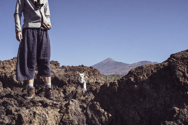 Petit chien niché dans une veste de randonneurs dans un volcan de montagne rocheux — Photo de stock