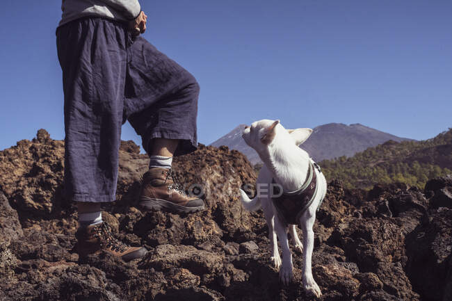 Pequeño perro de aventura mira hacia atrás a la mamá excursionista en las montañas en España - foto de stock