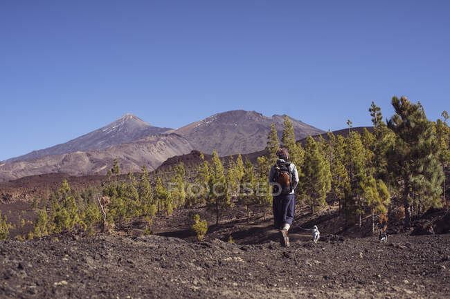 Caminhante caminha com mochila e dois cães pequenos através de montanhas — Fotografia de Stock