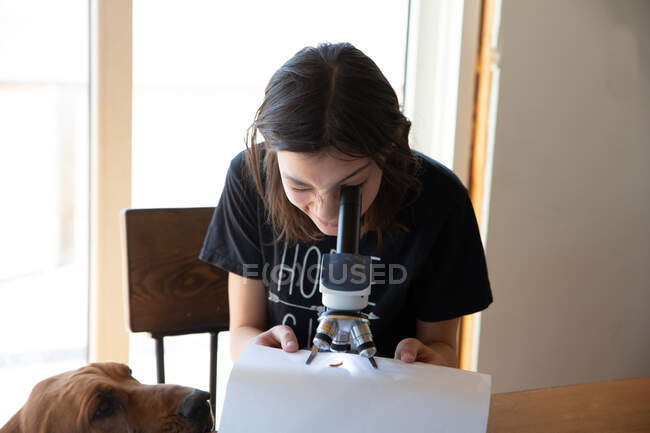 Tween girl looking into microscope with dog looking on — Stock Photo