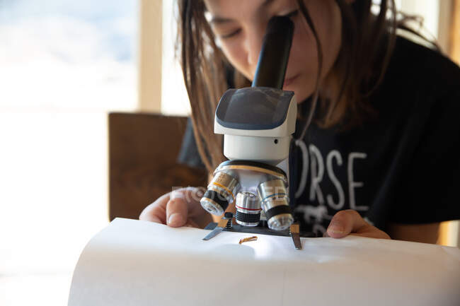 Крупним планом дівчина дивиться на жука під мікроскопом — стокове фото
