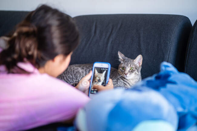 Неузнаваемая женщина фотографирует своего кота со смартфоном — стоковое фото