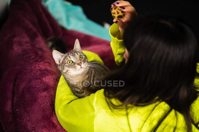 Над плечовим знімком невпізнаваної жінки, використовуючи м'яч, щоб грати з кішкою — стокове фото