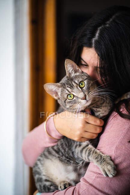 Жінка обіймає кота на руках. Кіт дивиться на камеру — стокове фото