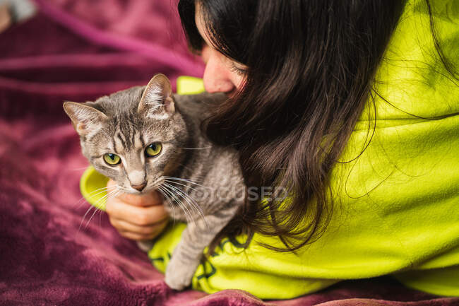 Primer plano de la mujer abrazando a su gato en la manta púrpura - foto de stock