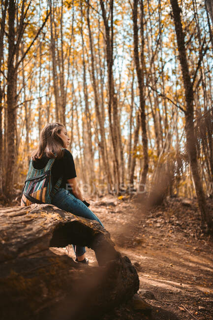 Alternative Frau ruht sich auf einem Baum aus und blickt auf den schönen Wald — Stockfoto