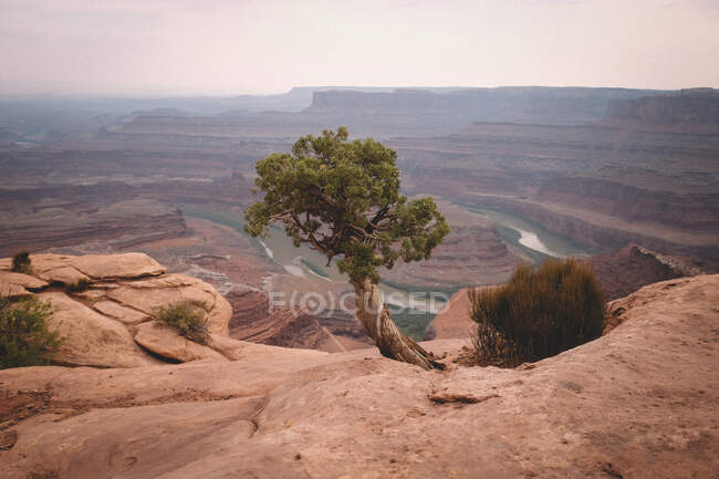 Grand canyon parc national, utah, Etats-Unis — Photo de stock