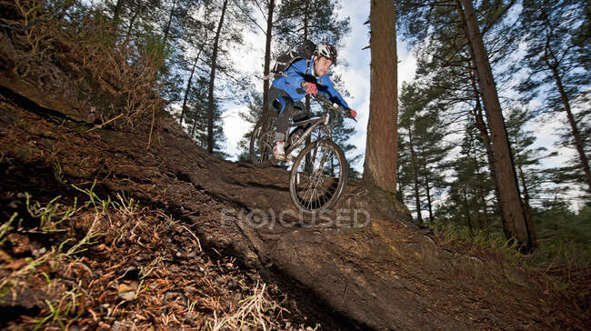 Hombre en bicicleta de montaña en el bosque - foto de stock