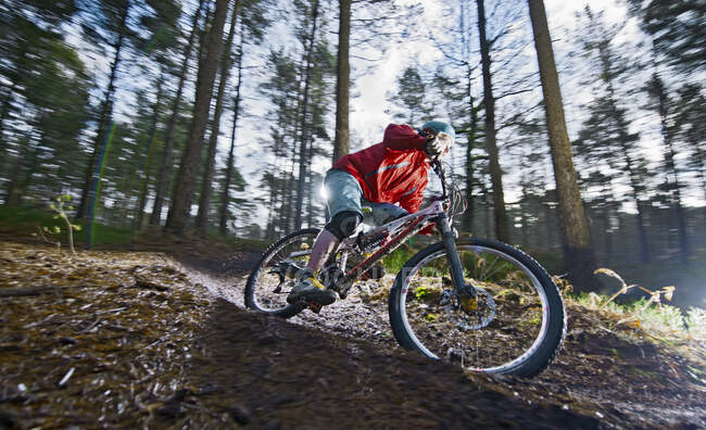 Man on mountain bike in forest — Stock Photo