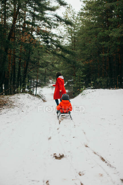 Madre e hijo con trineo en el bosque invernal - foto de stock