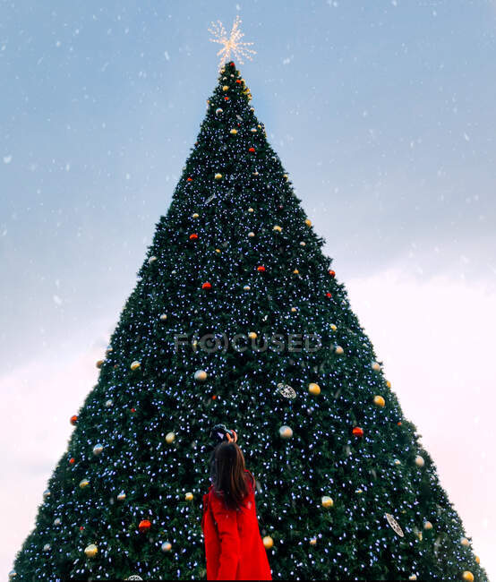 Woman photographing Christmas tree under the snow — Stock Photo