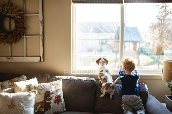 Niño y perro Dachshund sentados en el sofá y mirando por la ventana - foto de stock