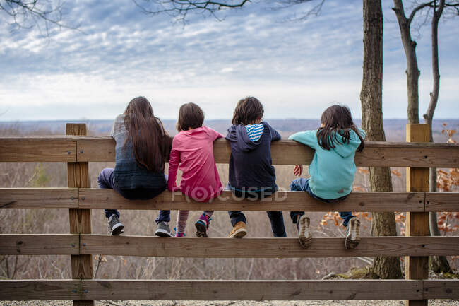 Чотири дитини спокійно сидять разом на паркані, дивлячись через долину. — стокове фото