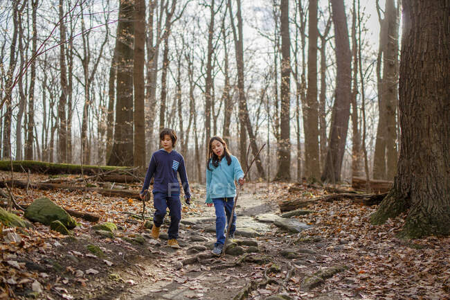 Two children walk on path through woods in fall holding walking sticks — Stock Photo