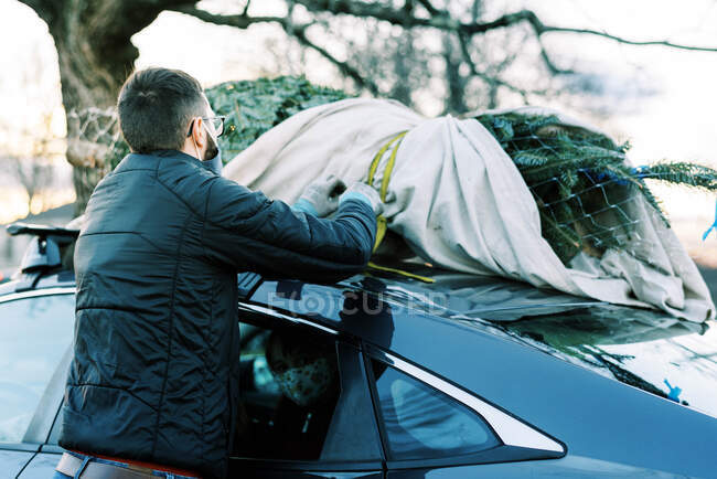 Hombre cargando abeto en la parte superior del coche - foto de stock