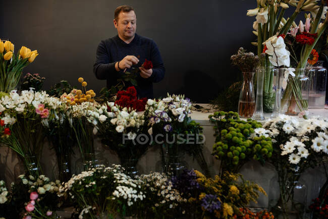 Florista fazendo e vendendo buquês de rosas vermelhas para dia dos namorados — Fotografia de Stock