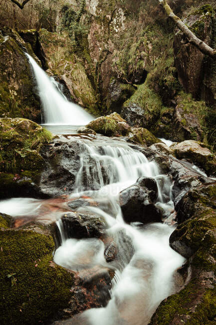 Belle cascade dans la forêt — Photo de stock