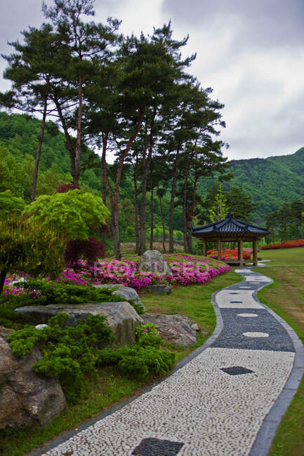 Sinuoso camino en el jardín coreano cerca del parque nacional de Seoraksan - foto de stock