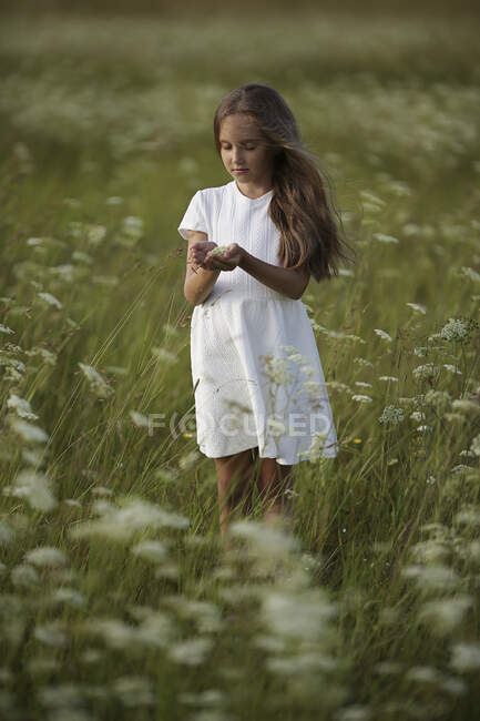Little girl in a park holding flowers in her hands — Stock Photo