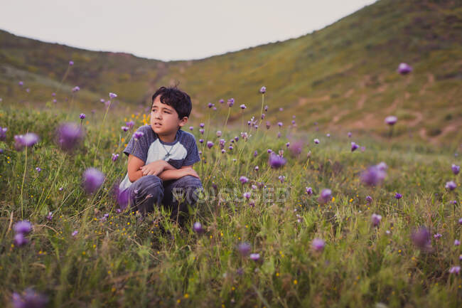 Cute little boy in the field — Stock Photo