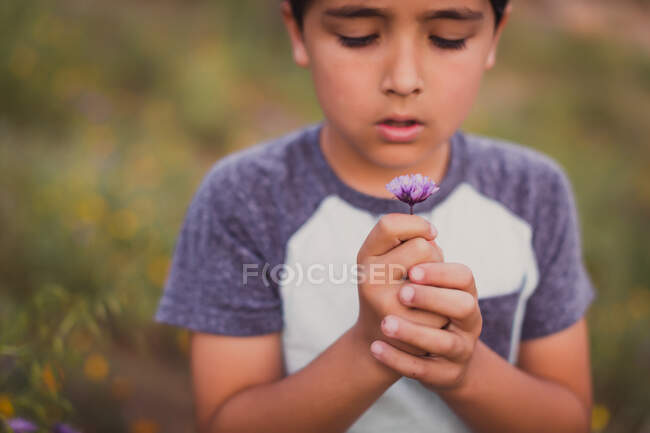 Cute little boy in the field — Stock Photo