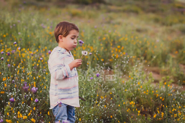 Милий маленький хлопчик у полі — стокове фото