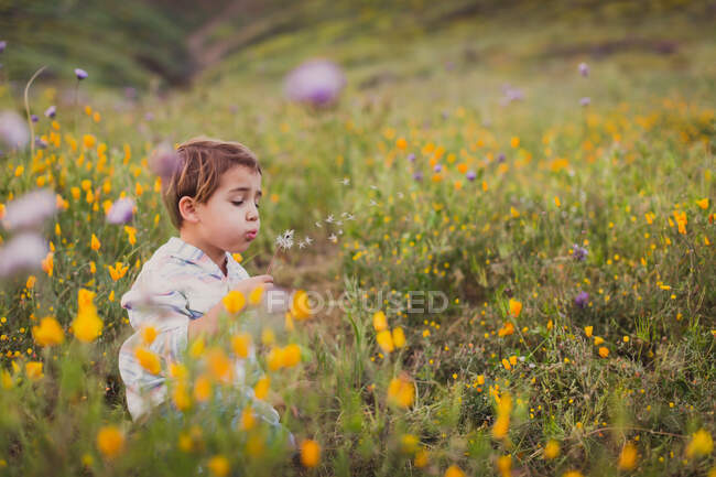 Netter kleiner Junge auf dem Feld — Stockfoto