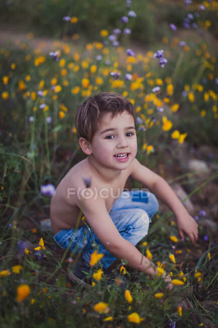 Милий маленький хлопчик у полі — стокове фото
