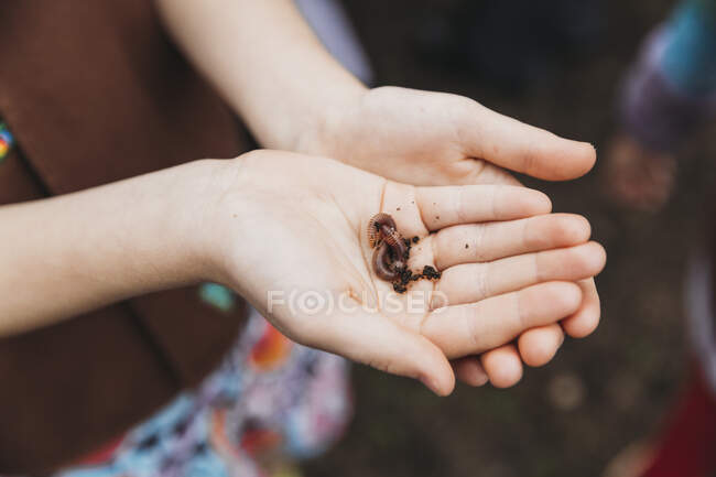 Closeup of red wiggler worm in kid's hand — Stock Photo