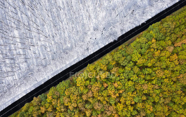 Aerial view by drone of autumn and spring separated by a road — Stock Photo