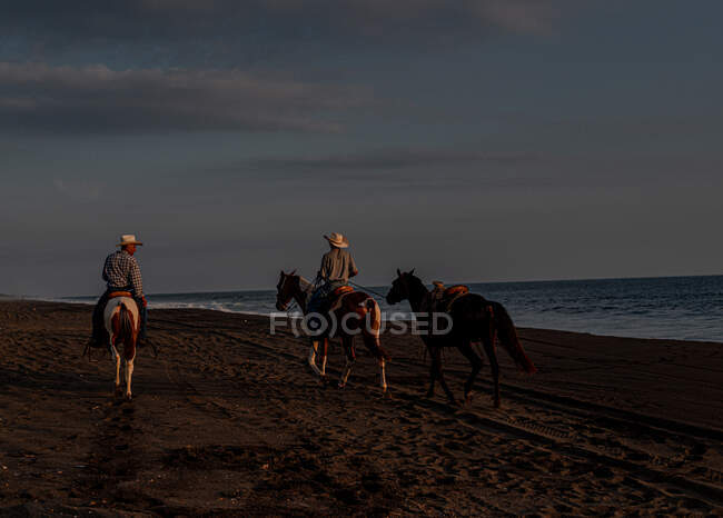 Homens montando cavalos na praia ao pôr do sol — Fotografia de Stock