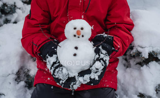 Мальчик со снеговиком в заснеженном лесу — стоковое фото