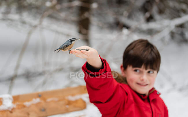 Petit garçon avec oiseau sur sa main en hiver — Photo de stock