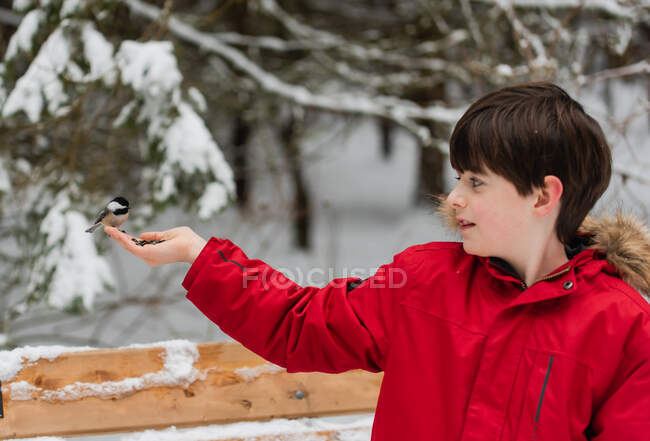 Маленький хлопчик з птахом на руці взимку. — стокове фото