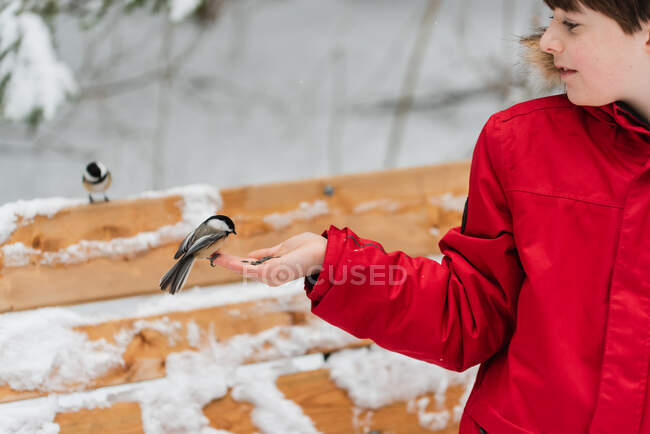 Bambino con uccello sulla mano in inverno — Foto stock