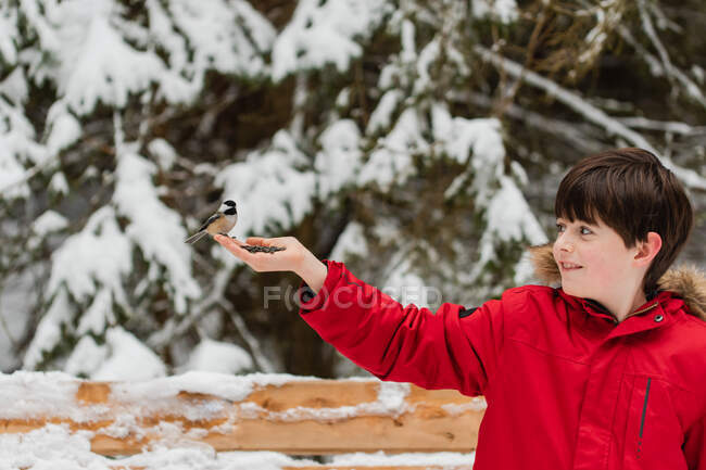 Kleiner Junge mit Vogel auf der Hand im Winter — Stockfoto