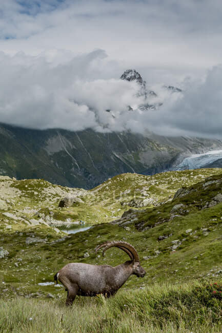 Vista panoramica di un bellissimo paesaggio alpino — Foto stock