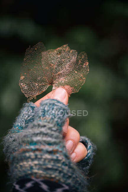 Mulher segura em uma folha morta vestindo luvas no inverno — Fotografia de Stock