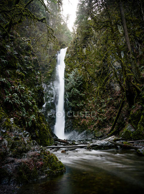 Водопад в лесу — стоковое фото