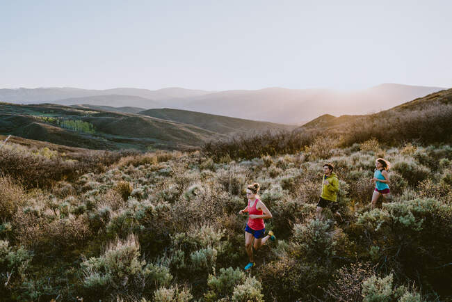 Trilha de três amigos correndo nas montanhas na hora de ouro — Fotografia de Stock