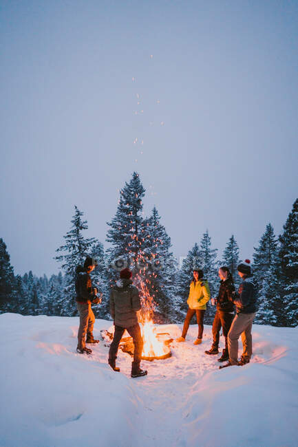 A group of friends stand around a campfire with snowy pine tree — Stock Photo