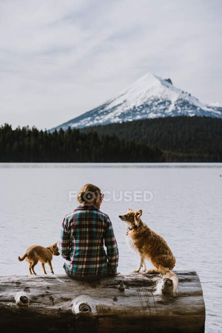 Una mujer se sienta y disfruta de la vista del lago y las montañas con sus dos perros - foto de stock