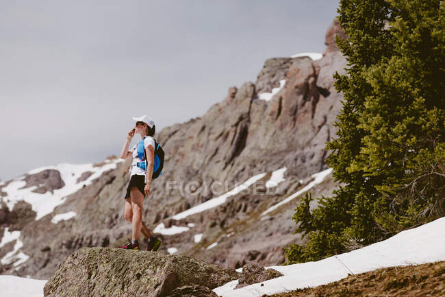 Donna trail runner sorseggia acqua davanti ai pini neve e rocce — Foto stock