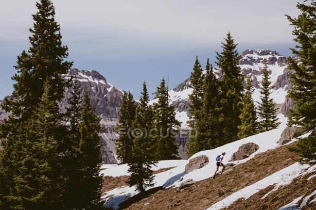 Woman ultra trail runner hikes up steep slope with trees and mountains — Stock Photo