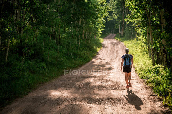 Woman hikes along a sunny dirt road surrounded by green aspen trees — Stock Photo