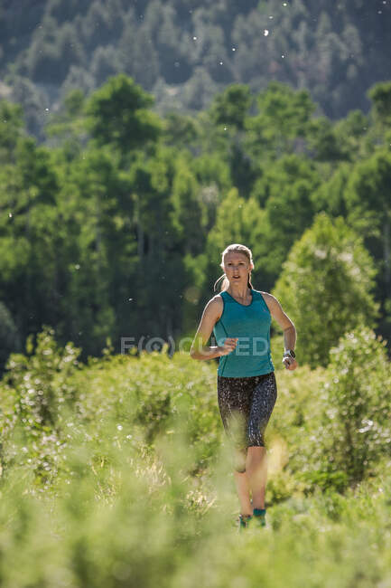 Focused woman trail runs in the mountains surrounded by green trees — Stock Photo