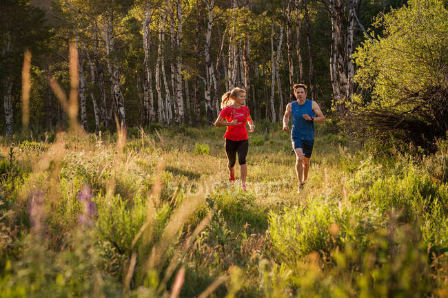 Dois amigos correm através de um campo gramado e bosque de álamo na hora de ouro — Fotografia de Stock
