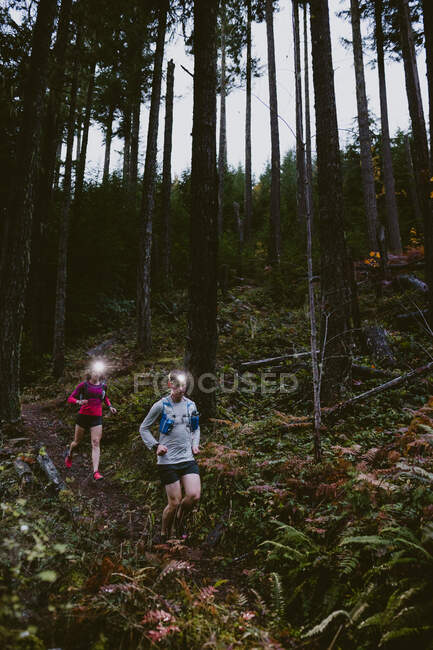 Two trail runners run down steep slope at night with headlamps glowing — Stock Photo